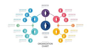 Infographic template for organization chart with business avatar icons. infographic for business. vector