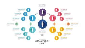 Infographic template for organization chart with business avatar icons. infographic for business. vector