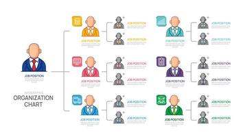 Infographic template for organization chart with business avatar icons. infographic for business. vector