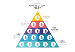 infografía modelo para organización gráfico pirámide con equipo líder iconos infografía para negocio. vector