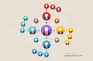 Infographic template for organization chart with business avatar icons. infographic for business. vector