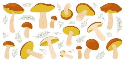 suillus seta colocar. comestible hongo. mano dibujado de moda plano estilo seta colección aislado en blanco antecedentes. otoño bosque cosecha, sano orgánico alimento, vegetariano comida ilustración vector