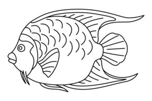 Tropical Fish. Simple Hand Drawn. Isolated on white background. Doodle fish line art drawing. Art therapy Coloring page for kids and adults. Black and white illustration vector