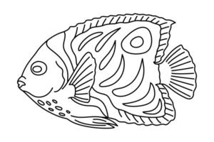 Tropical Fish. Simple Hand Drawn. Isolated on white background. Doodle fish line art drawing. Art therapy Coloring page for kids and adults. Black and white illustration vector