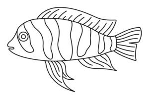 Tropical Fish. Simple Hand Drawn. Isolated on white background. Doodle fish line art drawing. Art therapy Coloring page for kids and adults. Black and white illustration vector