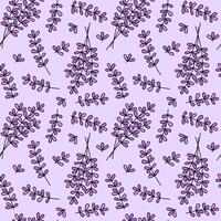 Lavender fowers pattern. seamless background. Cute doodle floral blossom pattern. vector