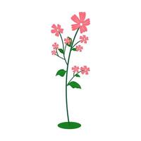 Cute pink flower isolated on white background vector