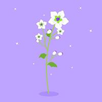 beautiful white flowers bloom vector