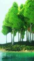 coloré dessin animé forêt à le coucher du soleil video