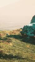 alpine meadow with rocks and green grass video