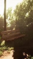 Bench made of logs on background of clearings and deciduous forest video