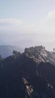 maestosa foresta di montagna verde su sfondo di nebbia video