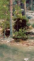 makellos alpin Paradies, mit ein still See und hoch aufragend Evergreens video