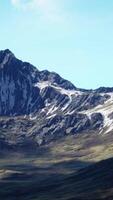 heuvel overwoekerd met droog gras tegen de backdrop van met sneeuw bedekt bergen video