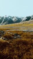 estepe de vale largo com grama amarela sob um céu nublado nas cadeias de montanhas video