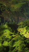 foresta tropicale nella vista mattutina dell'altopiano della Malesia video