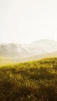 dry grass and snow covered mountains in Alaska video