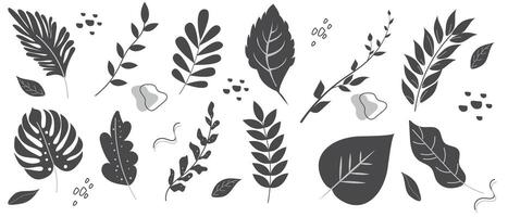 A set of various hand-drawn leaves in black and white on a white background. Abstract natural shapes in a trendy minimalist style. vector