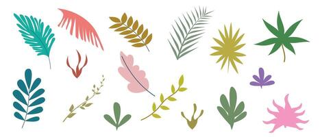 conjunto de mano dibujado vistoso resumen tropical hojas y formas elementos de primavera verano diseño. de moda plano lineal ilustración. vector