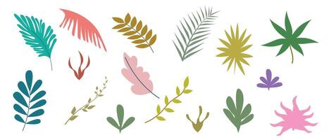 Set of hand drawn colorful abstract tropical leaves and shapes. Elements of spring-summer design. Trendy flat linear illustration. vector