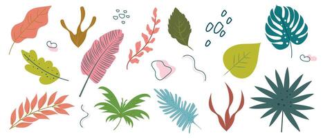 Set of hand drawn colorful abstract tropical leaves and shapes. Elements of spring-summer design. Trendy flat linear illustration. vector