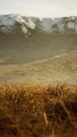 grama seca e montanhas cobertas de neve no alasca video