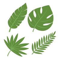 tropical leaf collection set editable vector