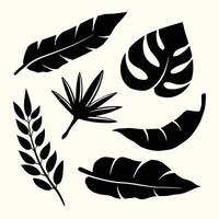 Set of palm leaves silhouettes isolated on white background vector