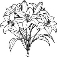 Lily Flower outline illustration coloring book page design, Lily Flower black and white line art drawing coloring book pages for children and adults vector