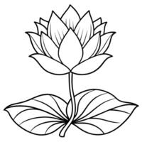 Lotus Flower outline illustration coloring book page design, Lotus Flower black and white line art drawing coloring book pages for children and adults vector