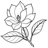 Magnolia flower outline illustration coloring book page design,Magnolia flower black and white line art drawing coloring book pages for children and adults vector