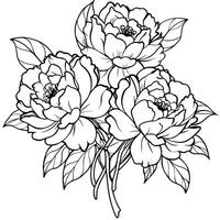 Peony Flower outline illustration coloring book page design, Peony Flower black and white line art drawing coloring book pages for children and adults vector