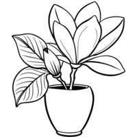 Magnolia Flower outline illustration coloring book page design, Magnolia Flower black and white line art drawing coloring book pages for children and adults vector