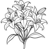 Lily Flower outline illustration coloring book page design, Lily Flower black and white line art drawing coloring book pages for children and adults vector