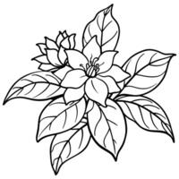jazmín flor contorno ilustración colorante libro página diseño, jazmín flor negro y blanco línea Arte dibujo colorante libro paginas para niños y adultos vector