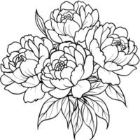 Peony Flower outline illustration coloring book page design, Peony Flower black and white line art drawing coloring book pages for children and adults vector