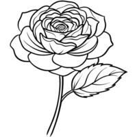 Ranunculus flower outline illustration coloring book page design, Ranunculus flower black and white line art drawing coloring book pages for children and adults vector