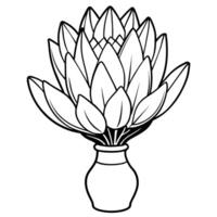 Protea flower outline illustration coloring book page design, Protea flower black and white line art drawing coloring book pages for children and adults vector