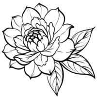 Peony Flower outline illustration coloring book page design, Peony Flower black and white line art drawing coloring book pages for children and adults vector