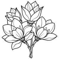 Magnolia Flower outline illustration coloring book page design, Magnolia Flower black and white line art drawing coloring book pages for children and adults vector