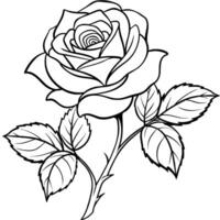 Rose flower outline illustration coloring book page design, Rose flower black and white line art drawing coloring book pages for children and adults vector