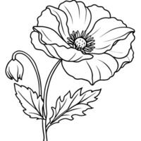 Poppy Flower outline illustration coloring book page design, Poppy Flower black and white line art drawing coloring book pages for children and adults vector