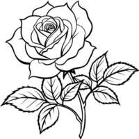 Rose flower outline illustration coloring book page design, Rose flower black and white line art drawing coloring book pages for children and adults vector