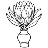 Protea flower outline illustration coloring book page design, Protea flower black and white line art drawing coloring book pages for children and adults vector