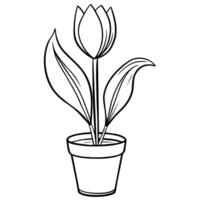 Tulip Flower outline illustration coloring book page design, Tulip Flower black and white line art drawing coloring book pages for children and adults vector