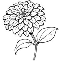Zinnia Flower outline illustration coloring book page design, Zinnia Flower black and white line art drawing coloring book pages for children and adults vector