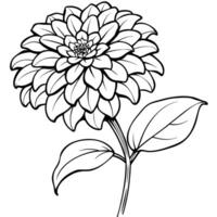 Zinnia Flower outline illustration coloring book page design, Zinnia Flower black and white line art drawing coloring book pages for children and adults vector