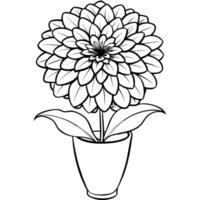 Zinnia Flower outline illustration coloring book page design, Zinnia Flower black and white line art drawing coloring book pages for children and adults vector