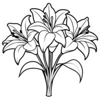 Lily Flower outline illustration coloring book page design, Lily Flower black and white line art drawing coloring book pages for children and adults vector