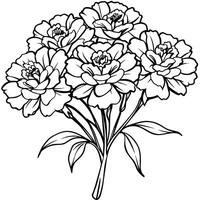 Marigold Flower Bouquet outline illustration coloring book page design, Marigold Flower Bouquet black and white line art drawing coloring book pages for children and adults vector